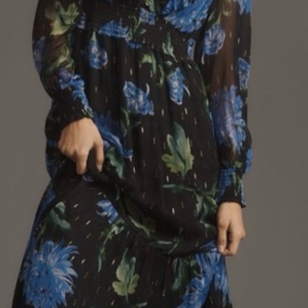 Anthropologie Odetta Black and Blue Floral Dress
